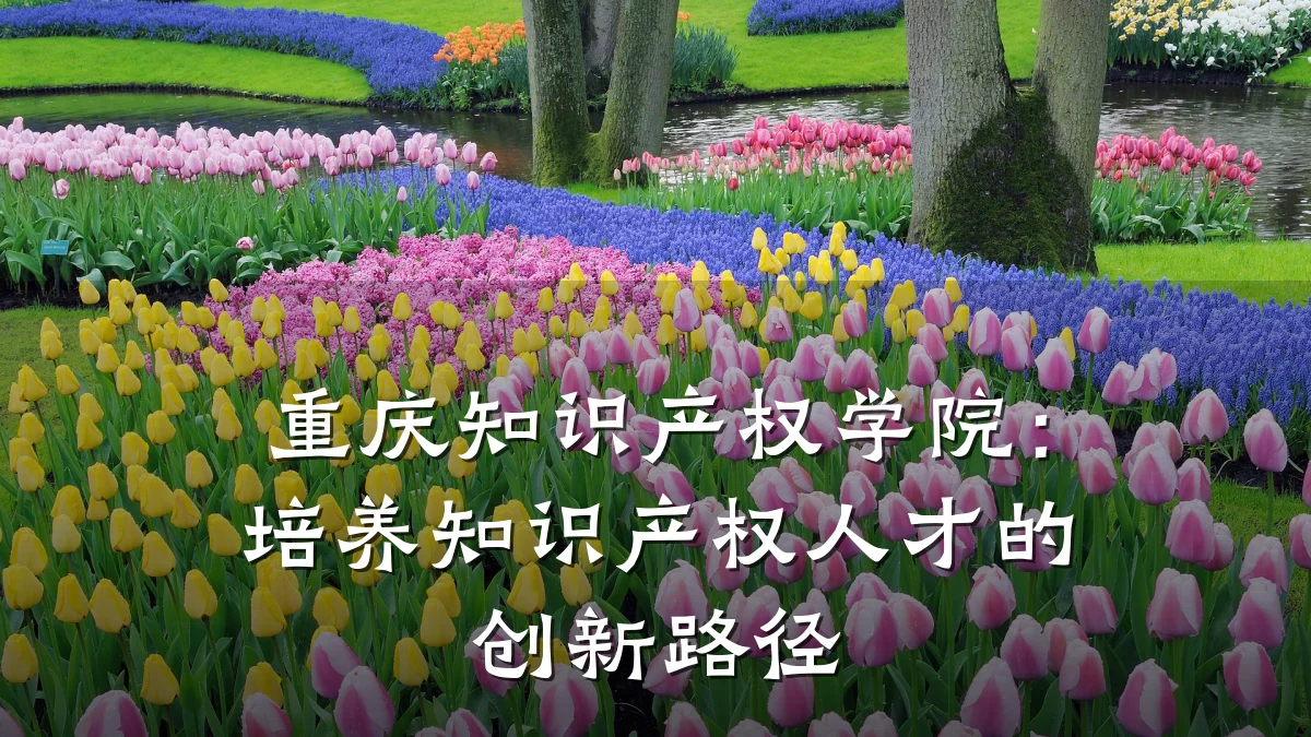 重庆知识产权学院:培养知识产权人才的创新路径