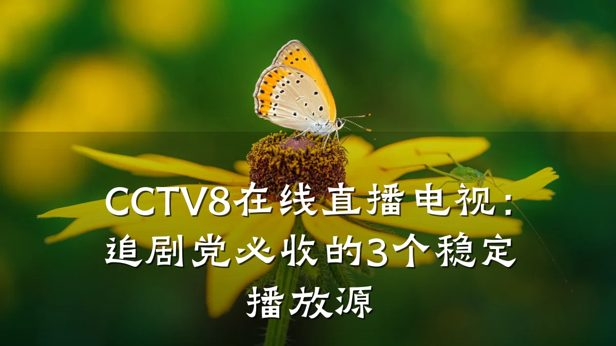 CCTV8在线直播电视:追剧党必收的3个稳定播放源