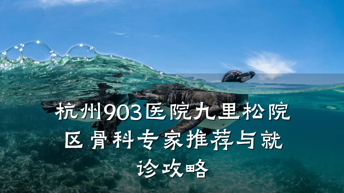杭州903医院九里松院区骨科专家推荐与就诊攻略