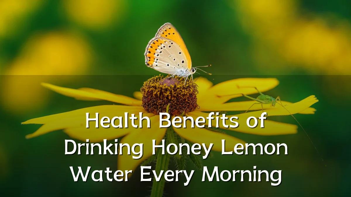 Health Benefits of Drinking Honey Lemon Water Every Morning