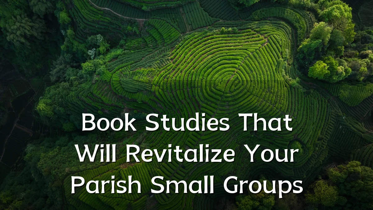 Book Studies That Will Revitalize Your Parish Small Groups