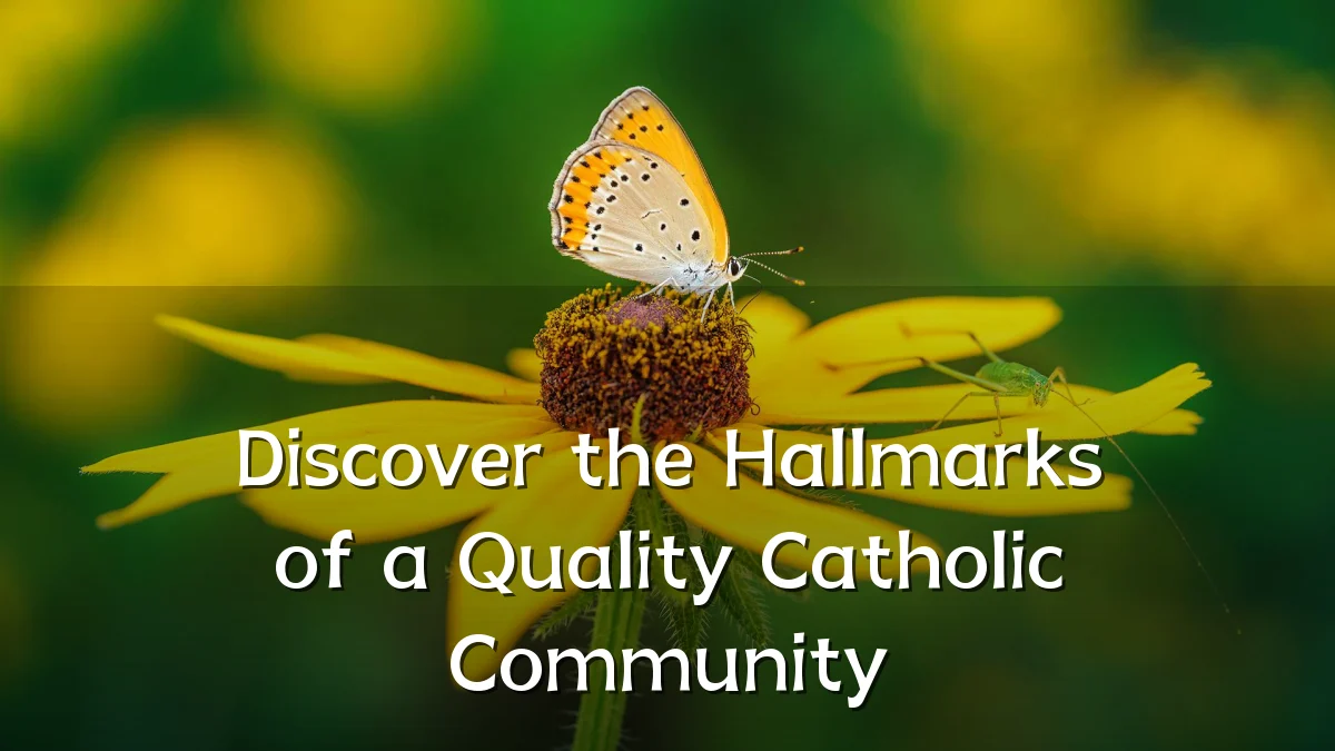 Discover the Hallmarks of a Quality Catholic Community