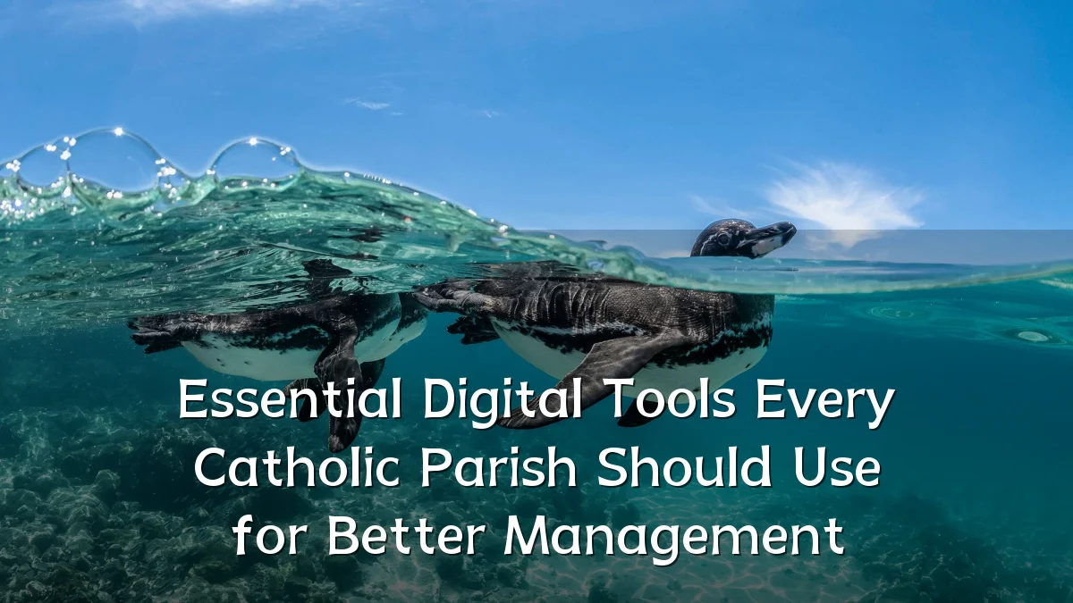 Essential Digital Tools Every Catholic Parish Should Use for Better Management
