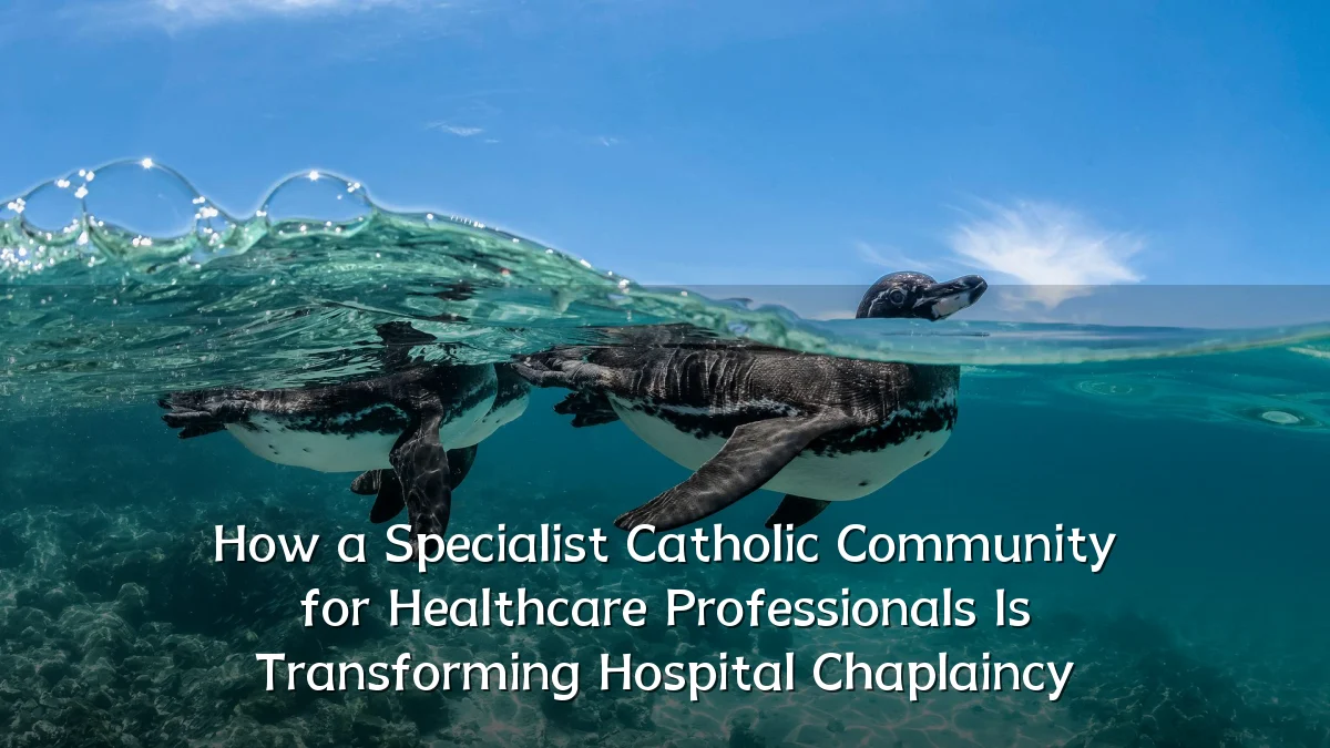 How a Specialist Catholic Community for Healthcare Professionals Is Transforming Hospital Chaplaincy