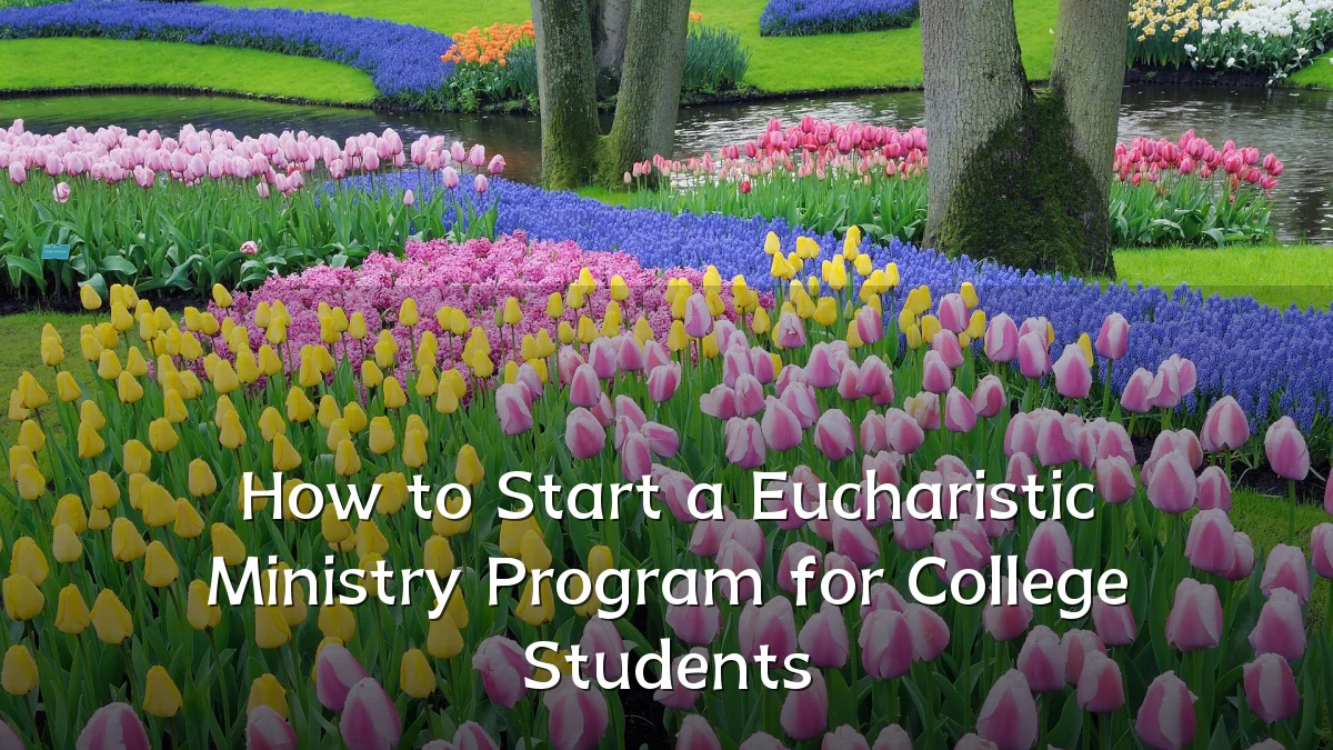 How to Start a Eucharistic Ministry Program for College Students