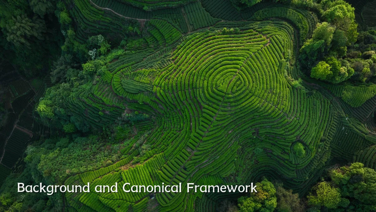Background and Canonical Framework