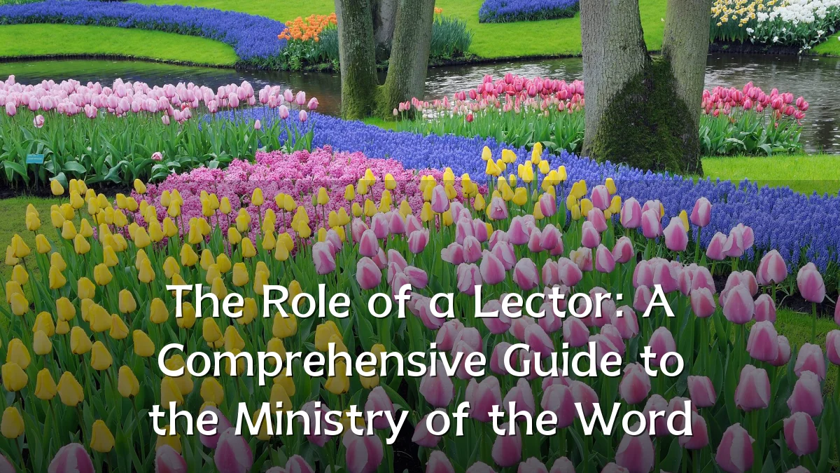 The Role of a Lector: A Comprehensive Guide to the Ministry of the Word