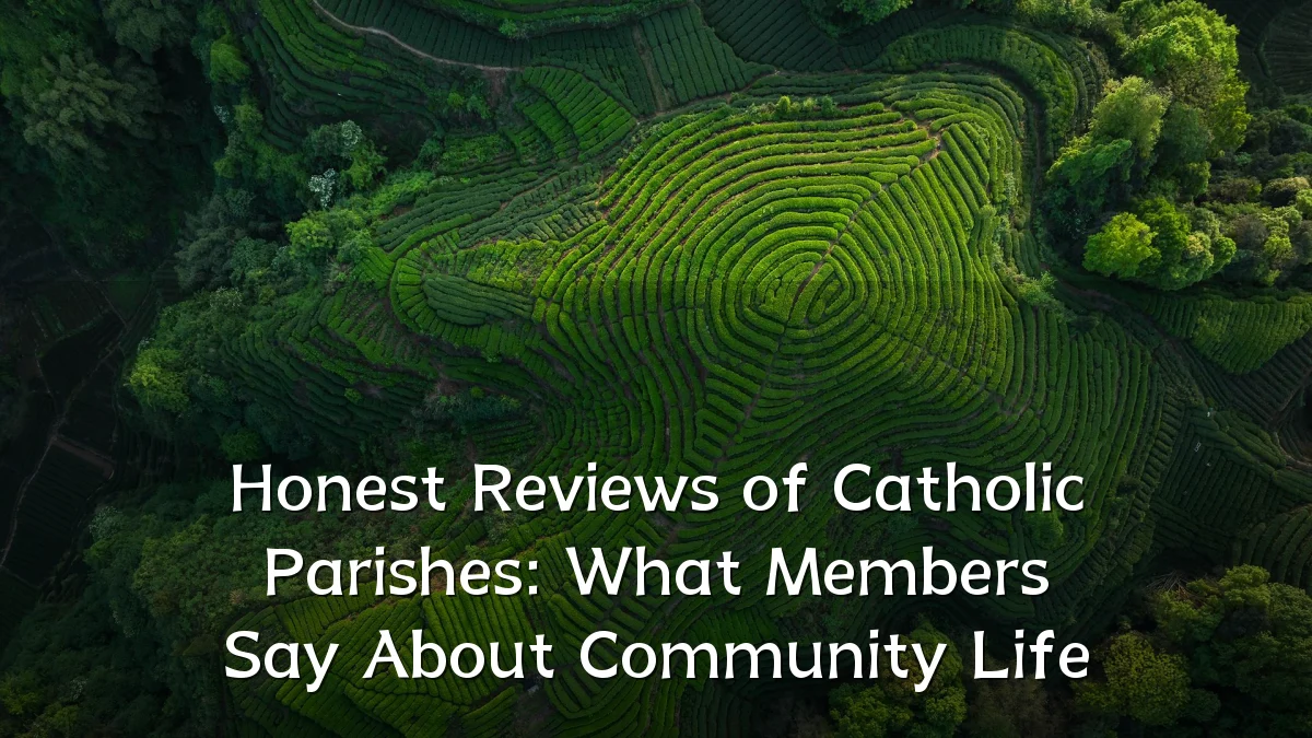 Honest Reviews of Catholic Parishes: What Members Say About Community Life