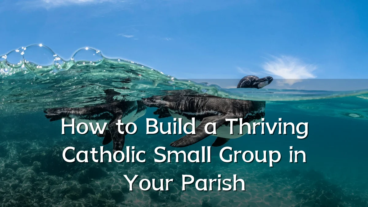 How to Build a Thriving Catholic Small Group in Your Parish