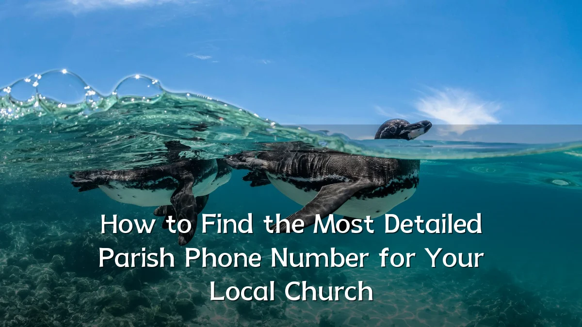How to Find the Most Detailed Parish Phone Number for Your Local Church