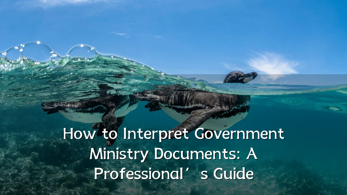 How to Interpret Government Ministry Documents: A Professional’s Guide