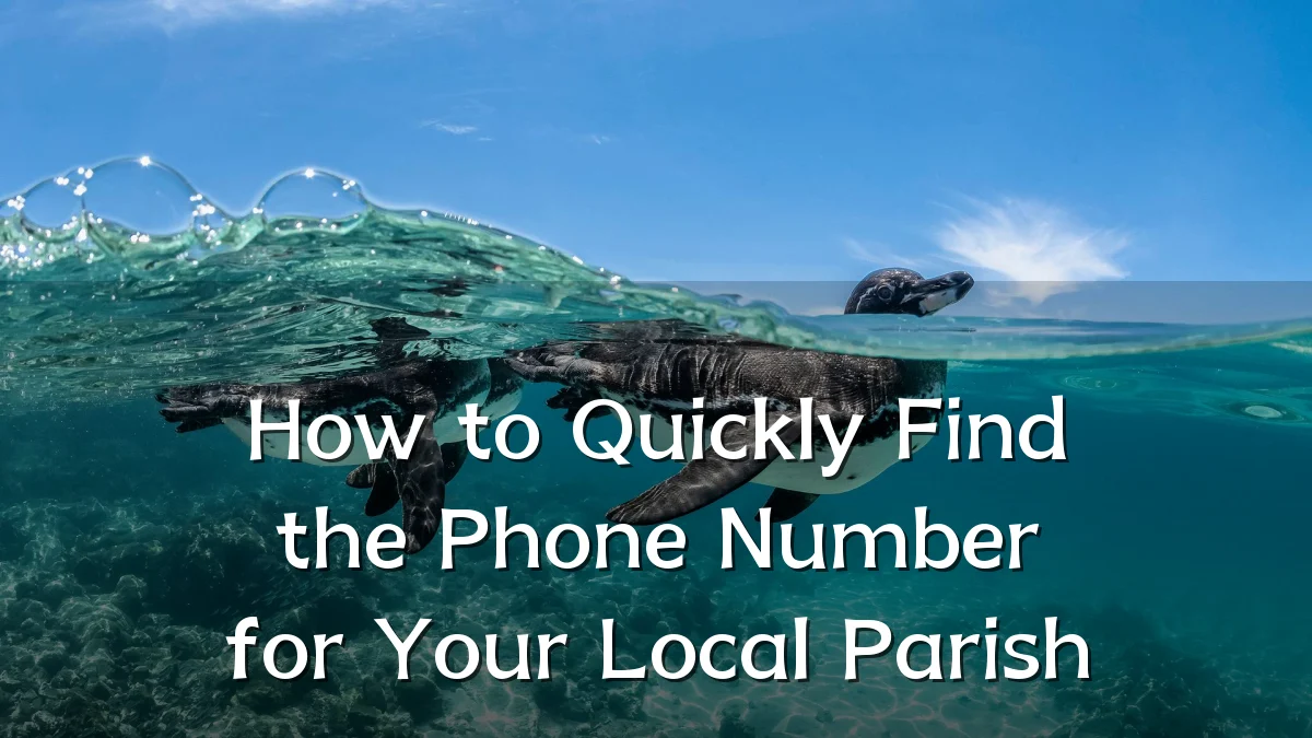 How to Quickly Find the Phone Number for Your Local Parish