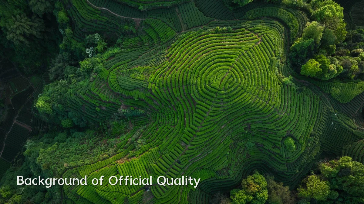 Background of Official Quality