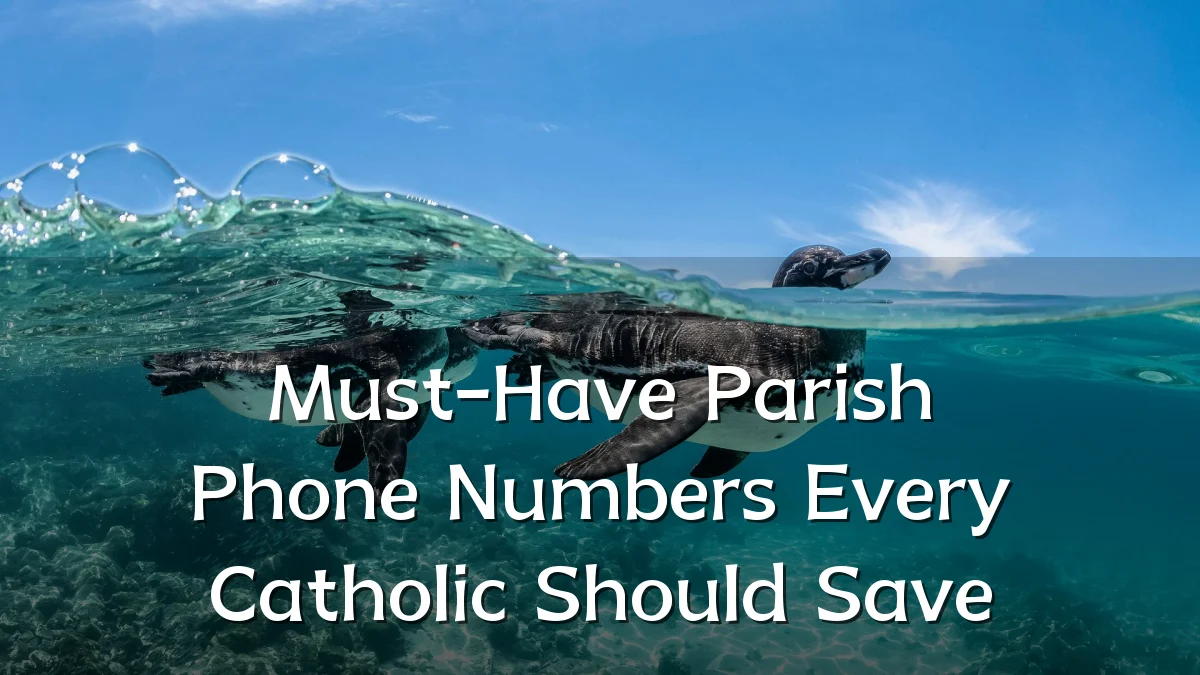 Must-Have Parish Phone Numbers Every Catholic Should Save