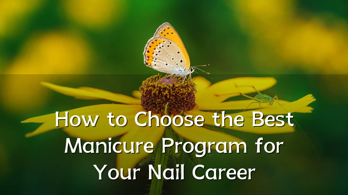 How to Choose the Best Manicure Program for Your Nail Career