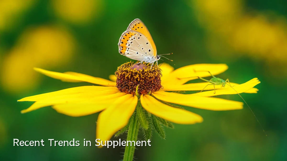 Recent Trends in Supplement